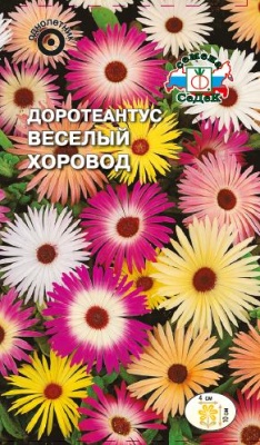 Семена цветов - Доротеантус Весёлый Хоровод 0,2 г - 2 пакета